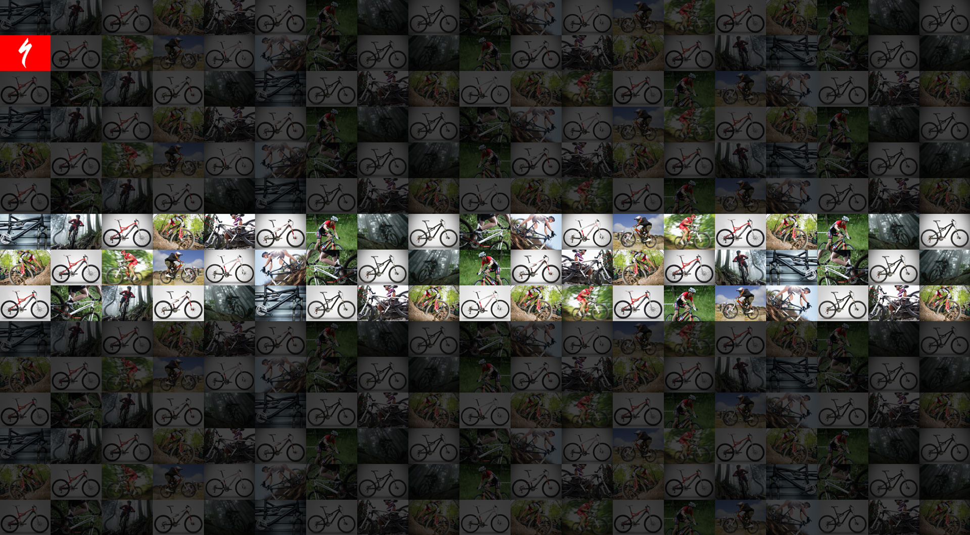 EverGrowing > Specialized