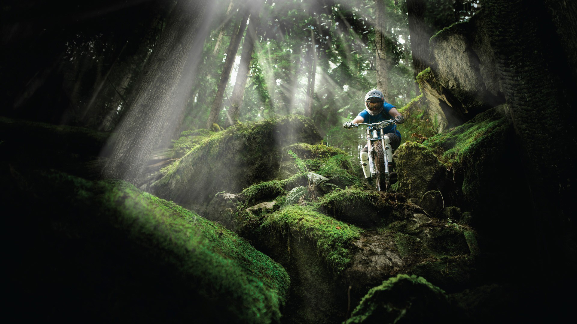 EverGrowing > Specialized