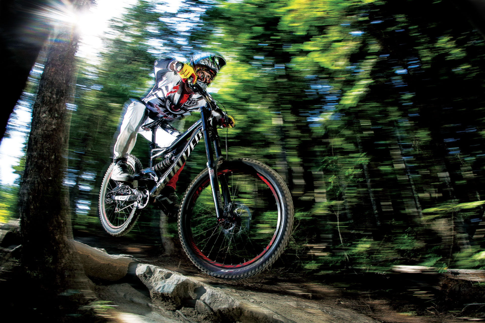 EverGrowing > Specialized